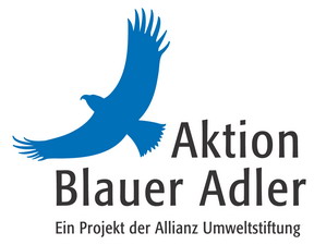 Blauer Adler